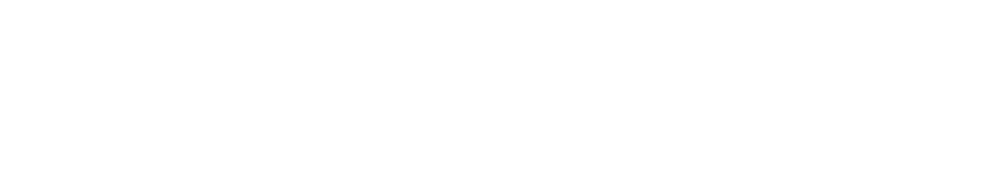 Club 300
